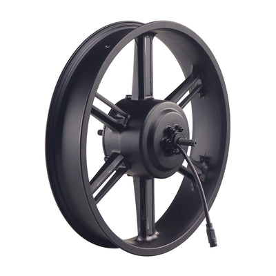 F720/F1000 Rear Motor Wheel 20“